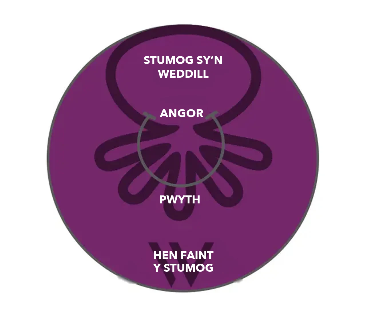 Diagram OverStitch NXT™: mae angorau a phwyth yn tynnu wal y stumog ynghyd, ac mae'r stumog sy'n weddill yn llawer llai na maint blaenorol y stumog