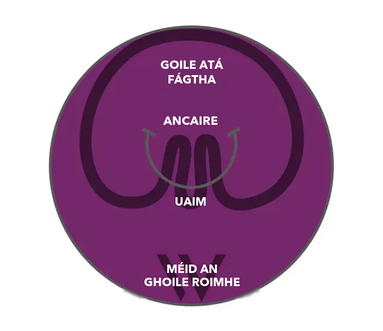 Léaráid de pose® 3.0 Double Helix: filleann ancairí agus uaim balla an ghoile, tá an goile atá fágtha i bhfad níos lú ná méid an ghoile roimhe